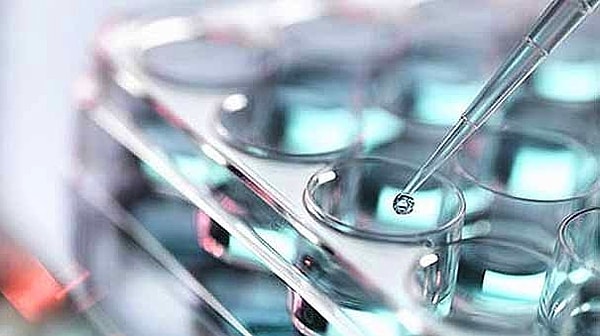 6. Ученые нашли бактерии, которые поедают раковые клетки.