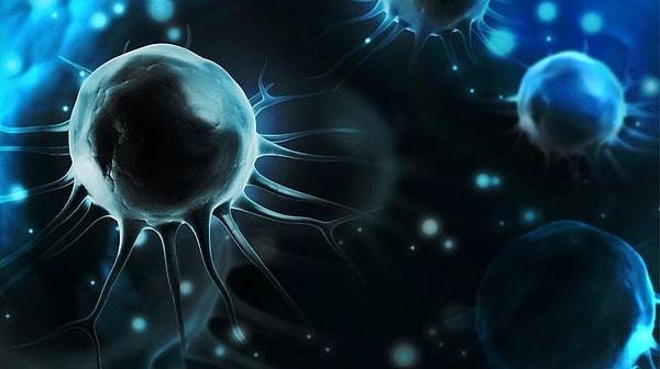 21. 'Yeniden Programlanmış Hücreler' ilk kez insana nakledildi