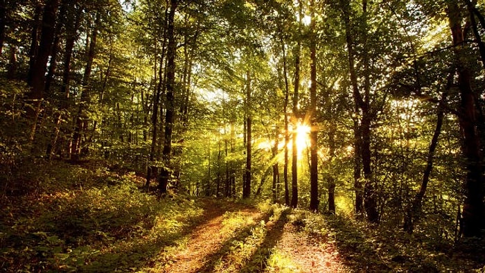 Doğa Tutkunu İnsanların Bildiği 16 Durum
