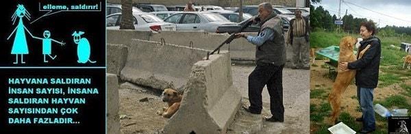 2. "Sokak köpekleri insanlara saldırır."