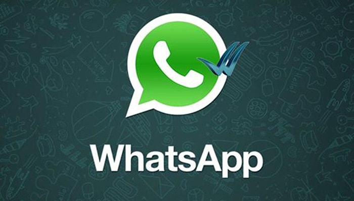 WhatsApp’ta 'Mavi Tik' Dönemi Başladı, İşte Sosyal Medyadan İlk Tepkiler...