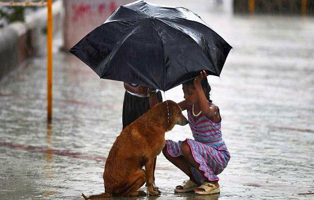 15.Hindistan'da bir kız çocuğu bir sokak köpeğini de muson yağmurlarından korumaya çalışırken.