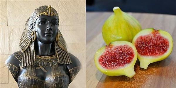 Kleopatranın, ölümünden önce humus ve incir yediği söyleniyor.