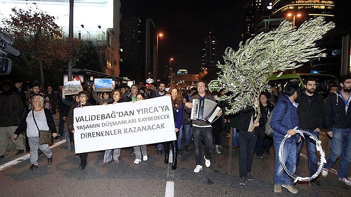 Yırca'daki Zeytin Ağaçları İçin İstanbul'da Eylem