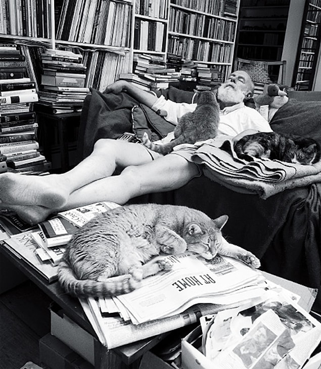 7. Edward Gorey