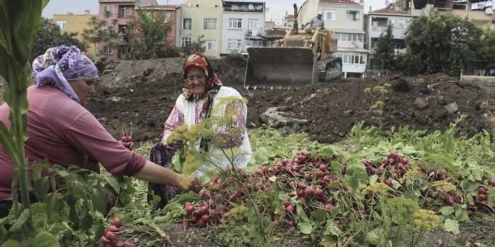 Son 5 Yılda Tuz Gölü'nün 2 Katı Büyüklüğünde Tarım Arazisi İmara Açıldı