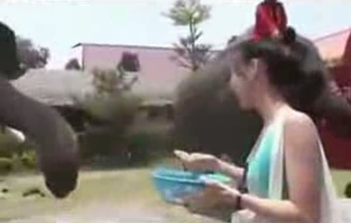 Fili iPhone'la Besleyen Japon Turistler