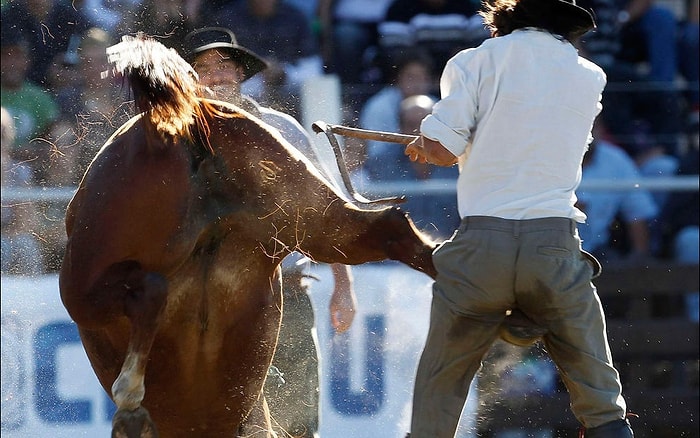 Hayvanlardan Yediği Tekmenin Tadına Doyamayan 14 Çifte Mağduru