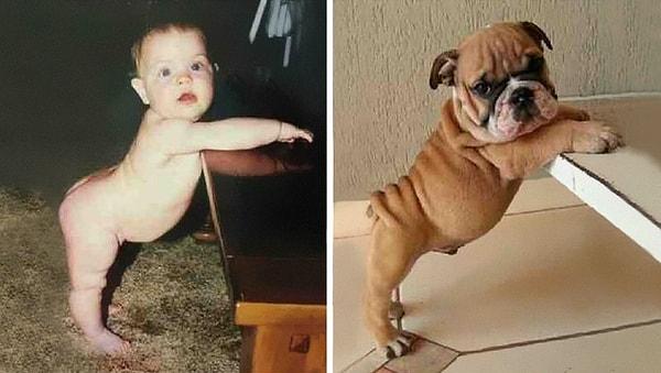 1. Bu sevimli bebek ve bu köpek