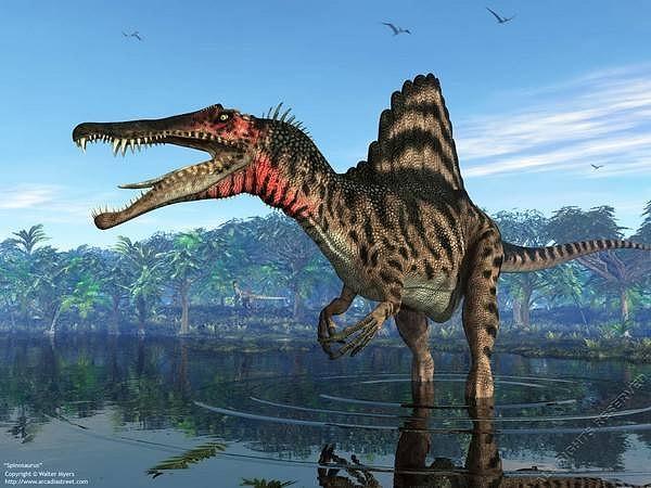 10-) Spinosaurus