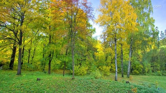 1 Yılı 40 Saniyeye Sığdırmak