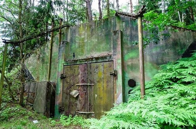 Almanya Ormanlarına Gizlenen, Sovyetlerin Şaşırtıcı Savaş Sırrı