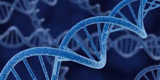 Manik Depresif Hastalığı, DNA'yı Bozuyor