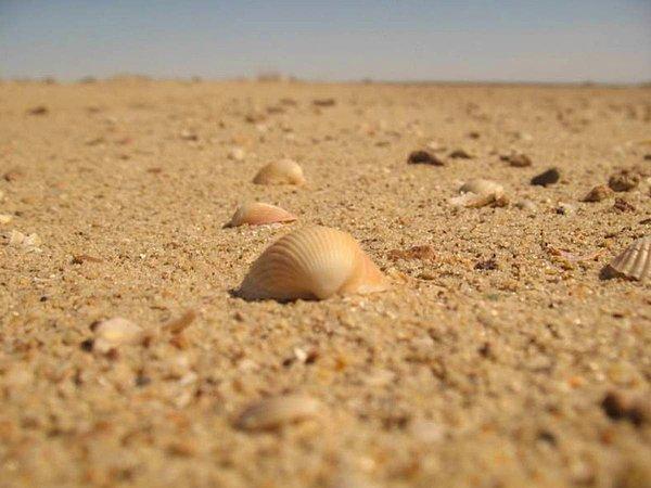 1. Kum ve tuz birikintisi Aral.