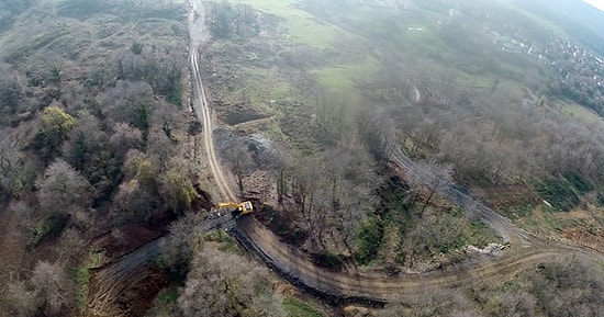 Türkiye'nin En Büyük Ağaç Taşıma Operasyonu