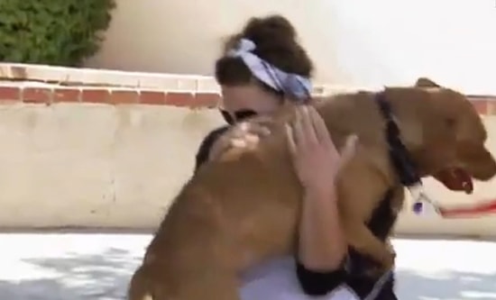 Yıllar Sonra Sahibini Gören 5 Hayvan