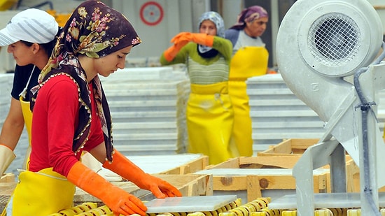 TÜİK Yetkilisi: Asgari Geçim Tutarı 1424 Lira