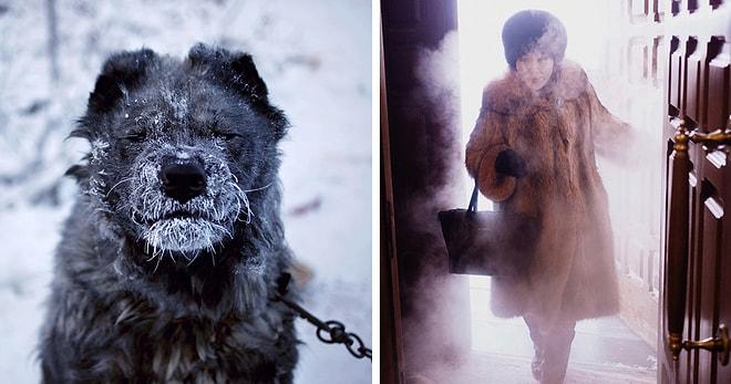 Dünyanın En Soğuk Yeri Yakutsk'a Giden Sanatçının Çektiği 22 Buz Gibi Fotoğraf