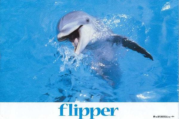6. Flipper / Flipper (1996)