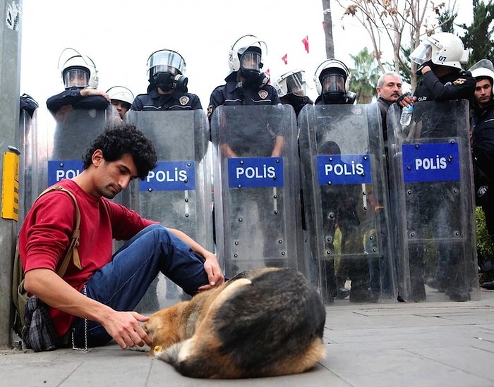 Polis Barikatı Önünde Sokak Köpeğini Seven Eylemciye 'Memura Hakaret'ten Soruşturma