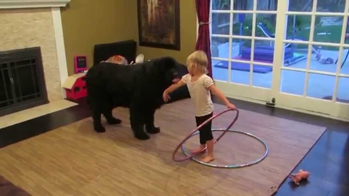 Dünyanın En Sevimli Köpek Eğitmeni