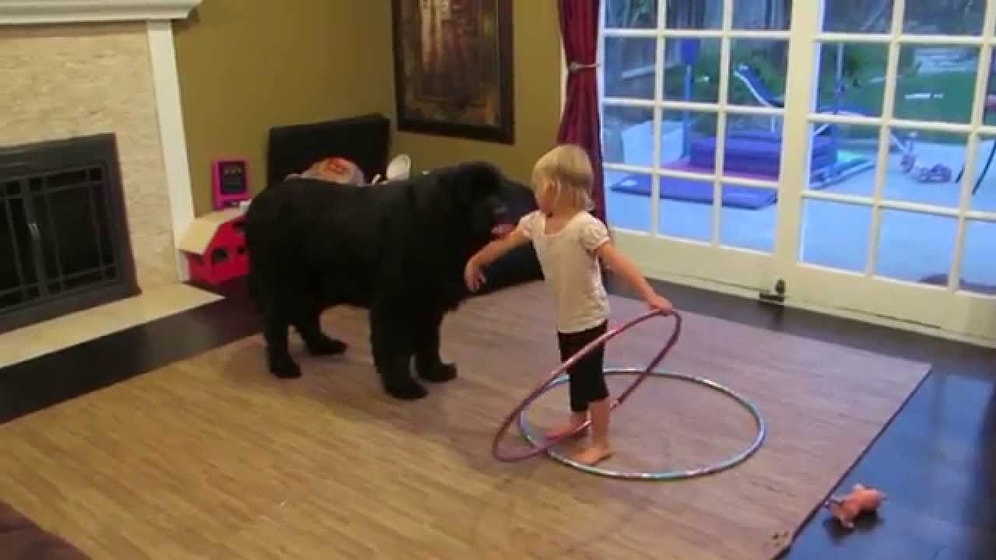 Dünyanın En Sevimli Köpek Eğitmeni