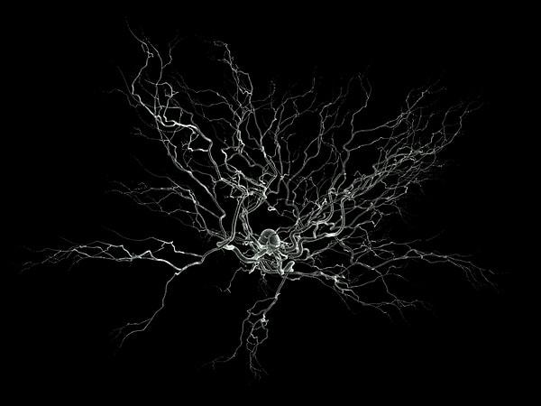 4. Oldukça küçük boyutlara sahip olmalarına rağmen, günümüz bilimi tek bir nöron üzerinde ölçüm yapabiliyor. Beyne mikroelektrotların yerleştirildiği bu işlem 'tek-ünite-kaydı' ismi ile biliniyor.