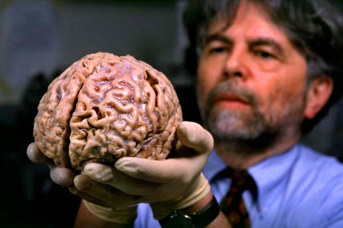 Lost brain. Илон Маск z. Илон Маск z Мем. You Drop this картинка мозг. You Dropped this Brain.