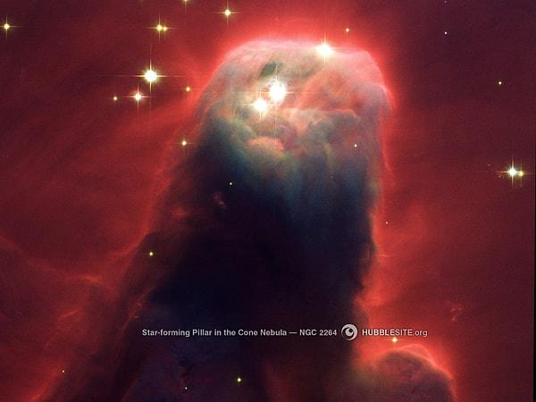 9. Koni Nebulası