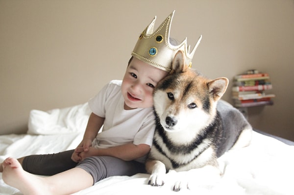 6. Köpekler otizmi olan çocuklarda stresi azaltır.