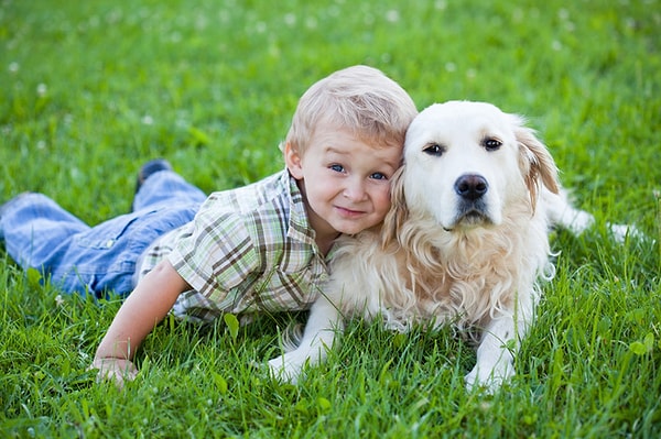 4. Köpek sahipleri daha sağlıklı bir kalbe sahiptir.