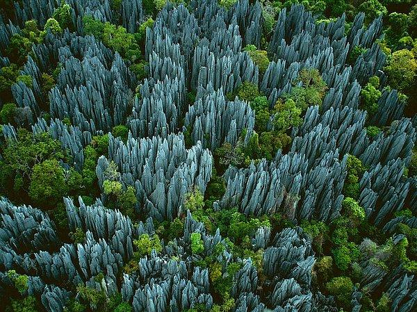 1. Tsingy de Bemaraha Doğa Koruma Alanı, Madagaskar
