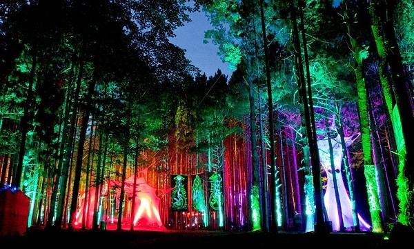 Electric Forest Music Festivali