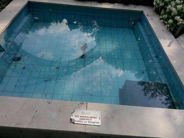 6. Bu kadar pis havuza girmememiz gerektiği uyarısı için teşekkürler. Fazla yaklaşmayın mikrop bulaşmasın..