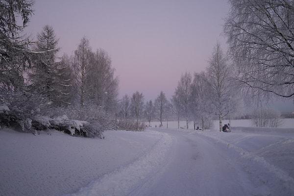 35. Çünkü Rovaniemi'de kuzey kutbu medarından geçebilirsiniz.