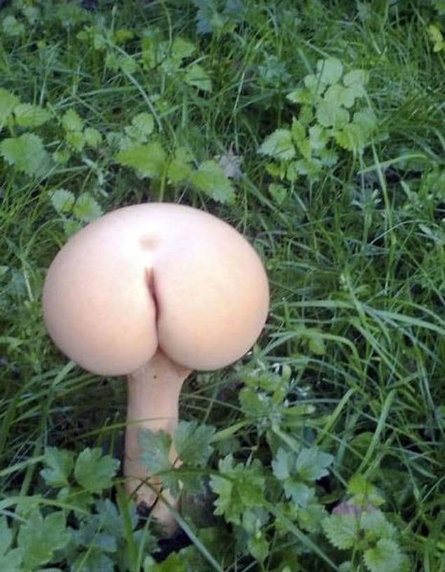 19.