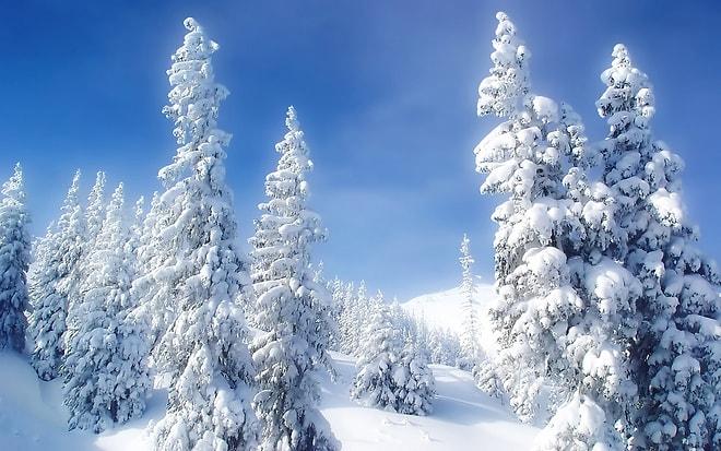 Sadece İzleyerek Kardan Çıkarabileceğimiz 14 Kıymetli Ders