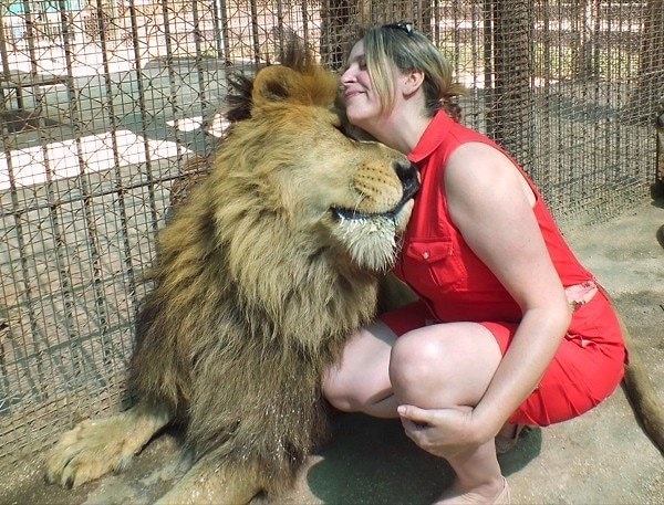 9. Buenos Aires'te ki arkadaş canlısı Zoo Lujan