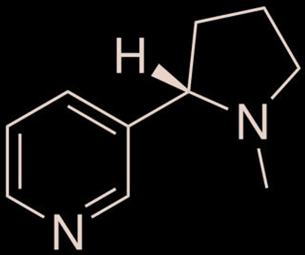 7. Nikotin