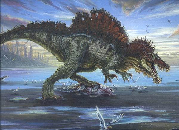 3- Karada Yaşamış En Büyük Yırtıcı Türü / Spinosaurus