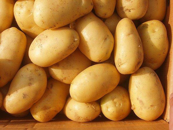 2. Hiçbir albenisi olmayan, sade, sıradan görünümü ile önemli olanın dış güzellik olmadığını ispatlar patates.