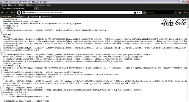 10. Erişim sağlamak için bir web tarayıcısına değil, özel cihazlara ihtiyaç duyulan 'Kapalı Sistem'