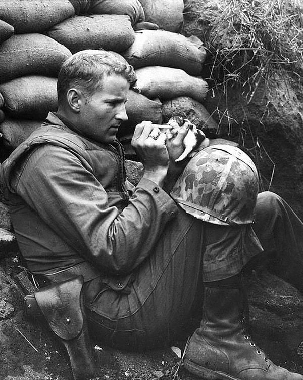 11. Kore Savaşı'nın ortasında, yavru kedi besleyen bir asker..