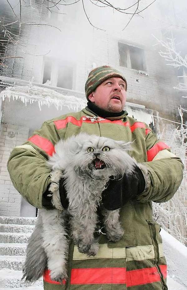 19. Yine yangından kurtarılan bir kedi. Yer:Rusya