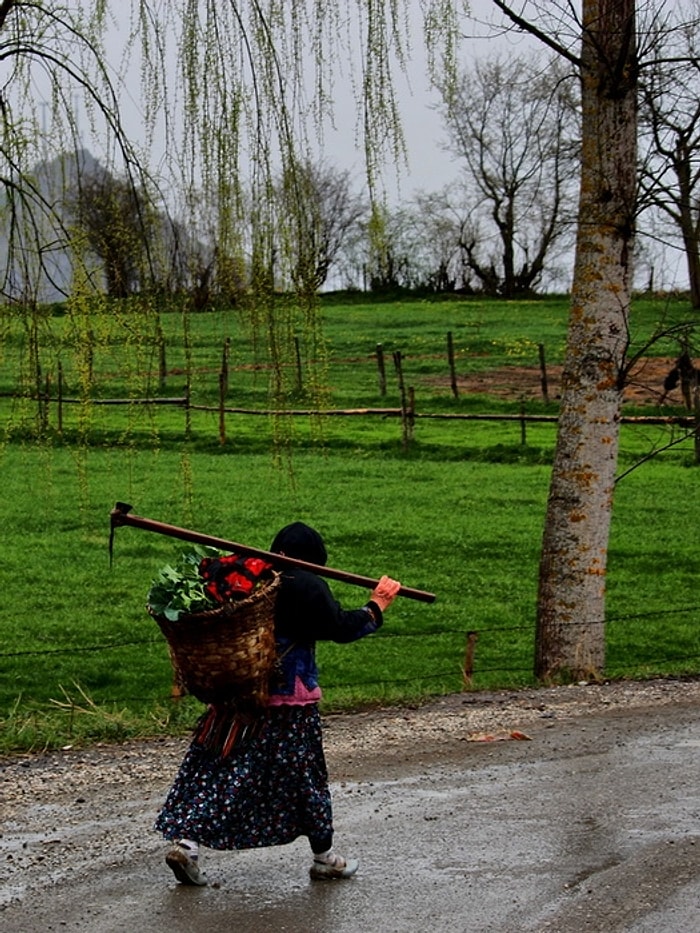 Türkiye'de Kadınların En Uzun Yaşadığı İl Giresun