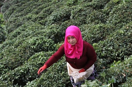 Rizeli Ev Hanımı Gürcistan'da Organize Suç Örgütünü Çökertti