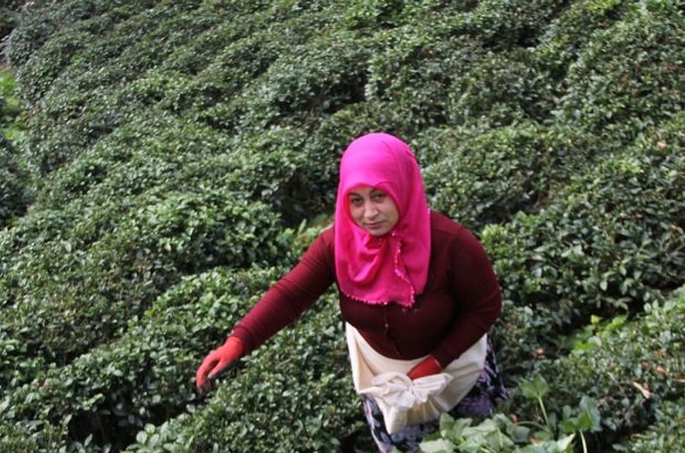 Rizeli Ev Hanımı Gürcistan'da Organize Suç Örgütünü Çökertti