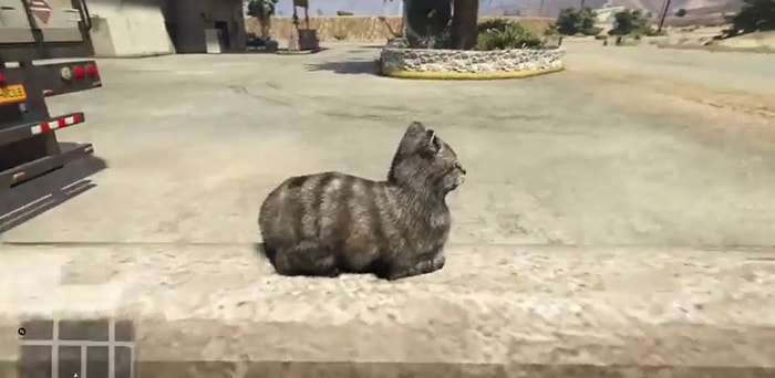 GTA 5'de Güldüren Kedi Tepkisi