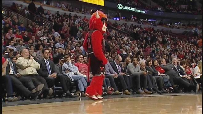 Chicago Bulls'un Efsane Maskotu Benny ile Süper Eğlenceli Bir NBA Sezonu