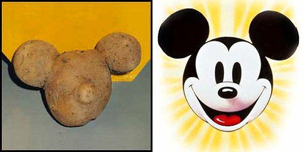 17. Mickey Mouse Patatesi
